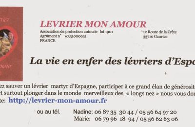 Jai quitté mon homme pour une femme