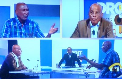 Sur Guadeloupe 1 ère : Lumières crues sur 50 années de mensonges et de turpitudes castristes. 
