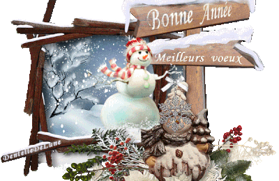 bonne année Ob_9a8cc4_777339bonneanneemeilleursvoeuxgifanime