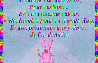 Chat couple gratuit