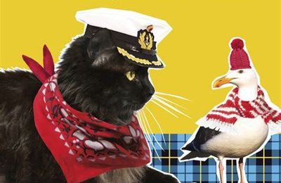 laura ingalls rencontre almanzo