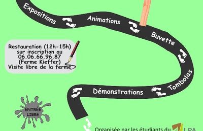 rencontre pisani obernai