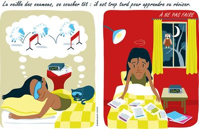 Conseils pour une bonne dissertation
