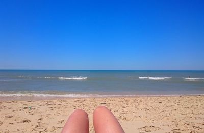 rencontres le porge