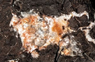 rencontre ephemere tunisie