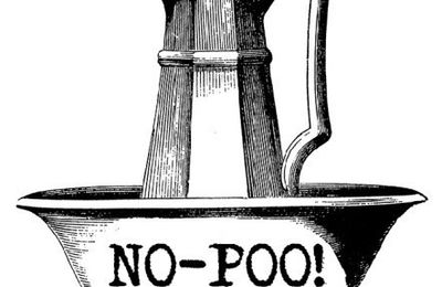 No Poo Test No Poo Test