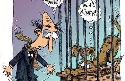 Combien de temps par jour un chien peut-il rester seul Combien de temps par jour un chien peut-il rester seul