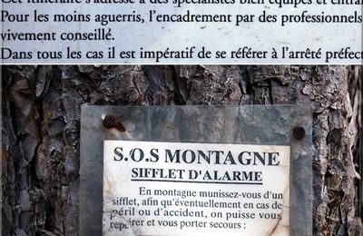 beauté je me porte ta rencontre solitude froid