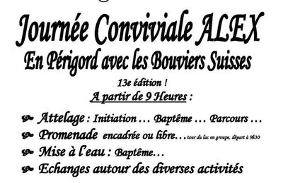 encheres de rencontre