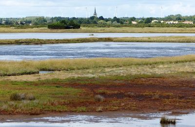 rencontre olonne sur mer