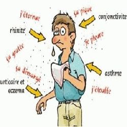 Les kystes des lamblias périssent à la température