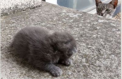 premiere rencontre juste debout