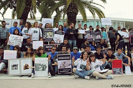 Manifestation pour défendre les droits des animaux !