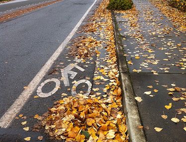 Cycling Deaths Could Exceed Last Year