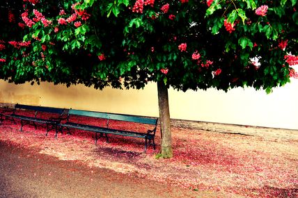 Travelling to Vienna - May 2013 (Part 2)