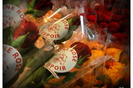 Une Rose Un Espoir 2013 secteur de Saint Julien-Lès-Metz
