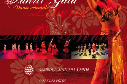 Jury : Salle des Fêtes Tahrir Gala danse orientale le 1er juin 2013