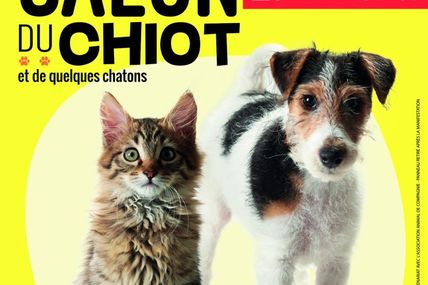 Metz Expo salon des chiots et des chatons du 27 au 28 juin 2015