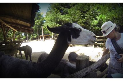 Parc Zoologique d’Amnéville 2015