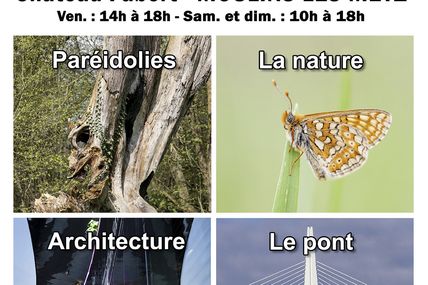 Moulins-lès-Metz Expo et concours-photo les 14, 15 et 16 octobre