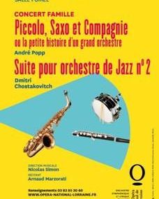 Nancy Opéra National de Lorraine Concert Famille 5 novembre 2016