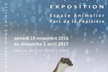 Nancy Exposition "Blanc Manteau" à la Pépinière jusqu'au 2 avril 2017