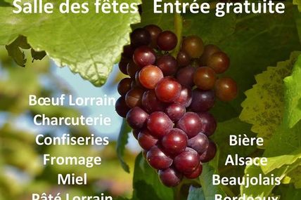 Rosieres en Haye Journée vins et terroir le 4 février 2017