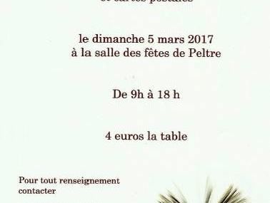 Peltre Bourse aux livres du 5 mars 2017