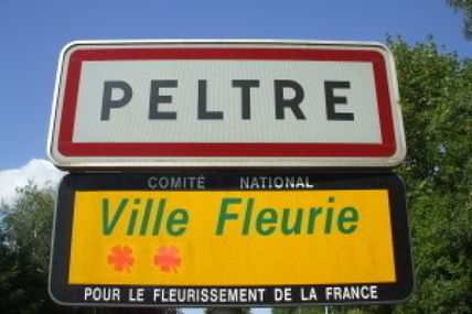 Peltre Elections législatives 2017- 2e circonscription de Moselle - 2ème tour
