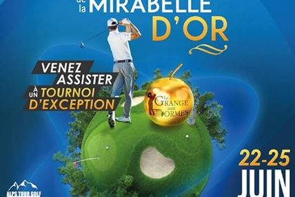 Marly 14éme open international de la Mirabelle du 22 au 25 juin