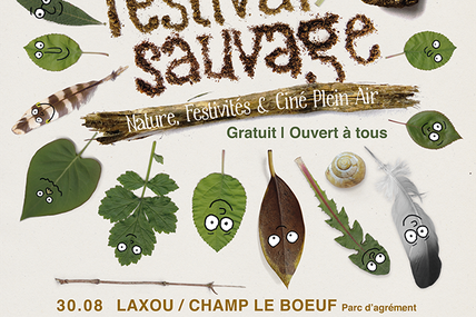 Meurthe-et-Moselle Festival Sauvage 2017 du 30 août au 2 septembre 2017