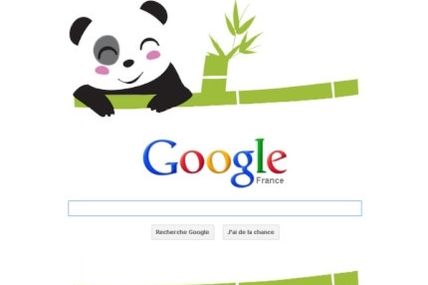 Faites appel à un consultant SEO
