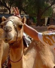 En vacances à Oman, j'ai pu jouer sur Ready Cash