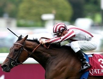 Je cherche le nom du cheval de l'année 2013
