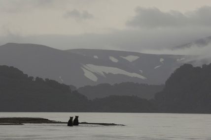 Les photographes du Lac Kourile. Vincent Munier.