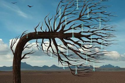Chronique d' "Opposites" de Biffy Clyro