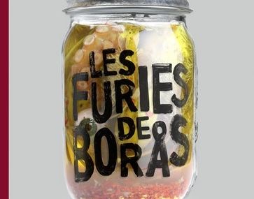 Chronique de Les Furies de Boras d'Anders Fager