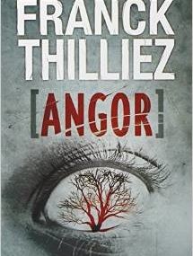 Angor de Franck Thillez (chronique)