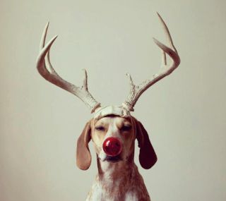 Un miracle de Noël (partie I)