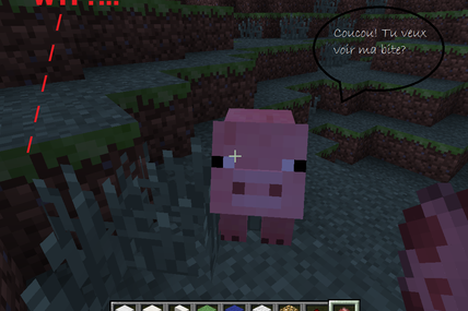 Les cochons sont des pervers