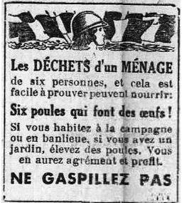 Poules composteuses d’un siècle à l’autre