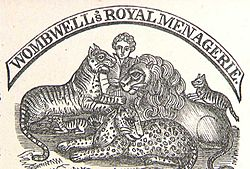 Juin 1900, la ménagerie Bostock et Wombwell se donne en spectacle à Moulins