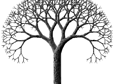 Petit aperçu arbres binaires de recherches