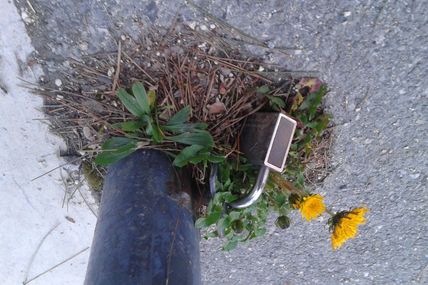C'est le printemps !