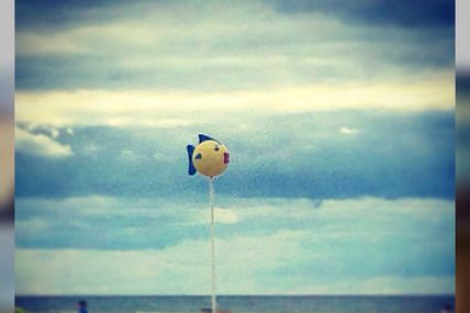 MÊME LES POISSONS VONT AU CIEL! #poésie #GIF