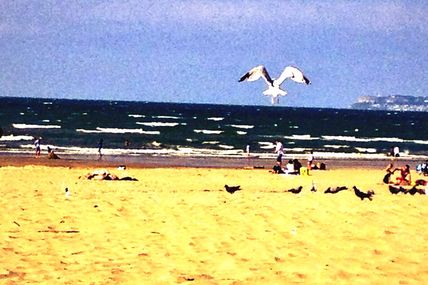 LA MONTGOLFIÈRE #DPDP