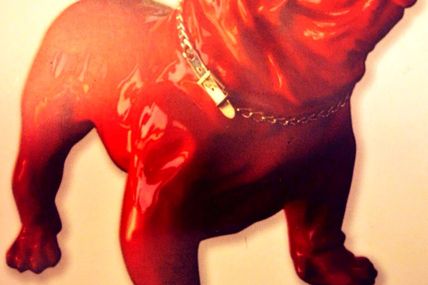 Le chien rouge #DPDP