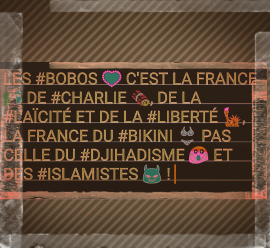 LES BOBOS C'EST QUOI?!