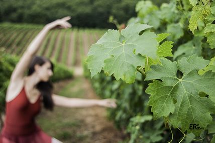 La danse des vignes I