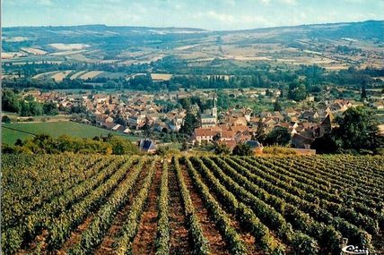 Santenay - Côte d'Or - Dépt 21.